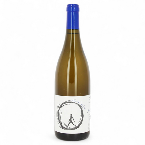 Bouteille de vin Dans l'Absolu 2023 du domaine Vignoble des Vernusses (Terres de Roa)