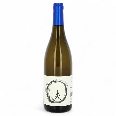 Bottle of Dans l'Absolu 2025 wine from the Vignoble des Vernusses estate (Terres de Roa)