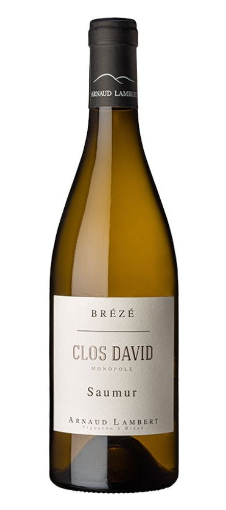 Saumur Clos David 2021