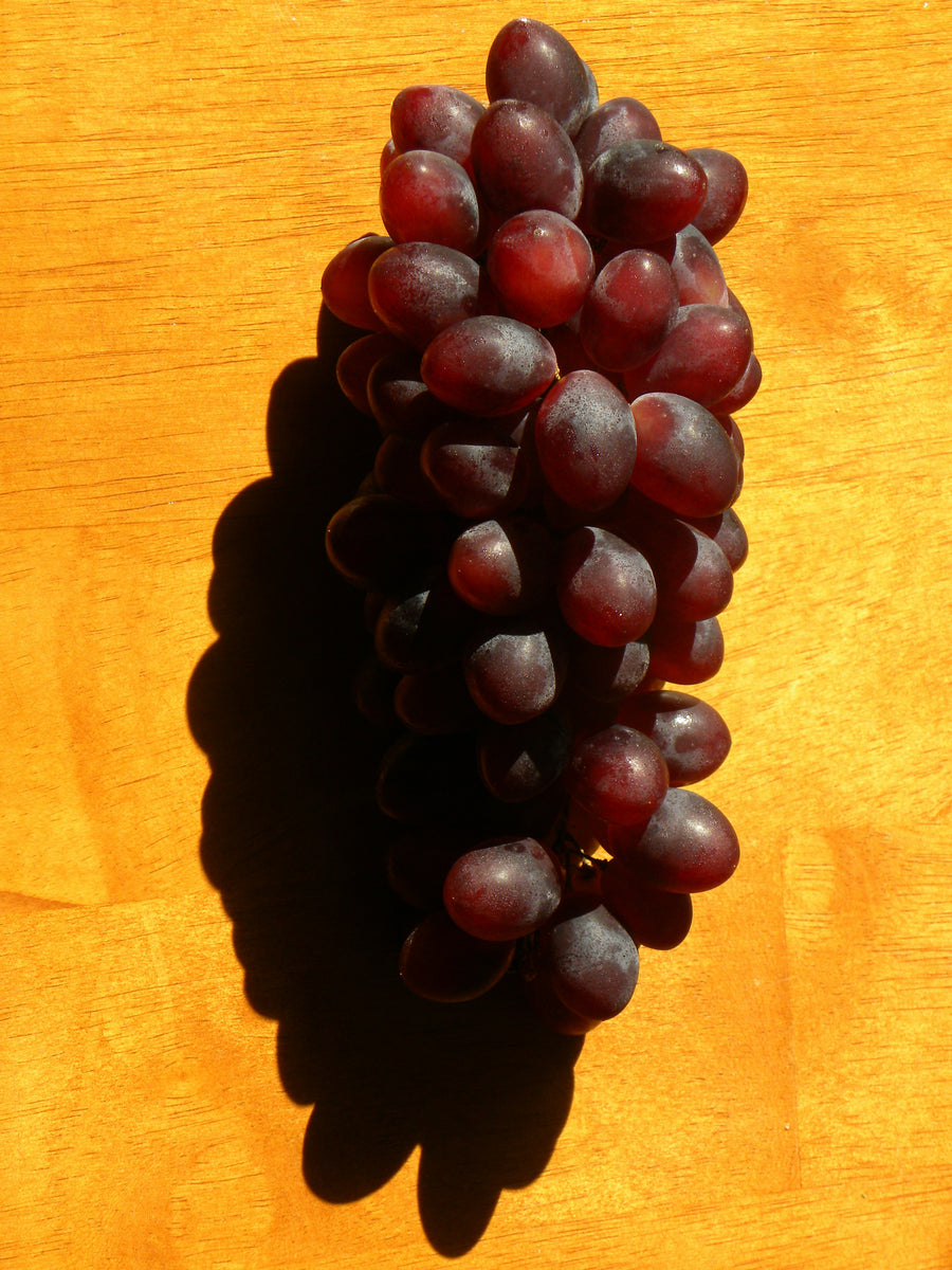 Vins orange
