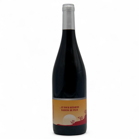 Bouteille de vin Et pour quelques raisins de plus 2022 du domaine Domaine Terrasses de Gabrielle