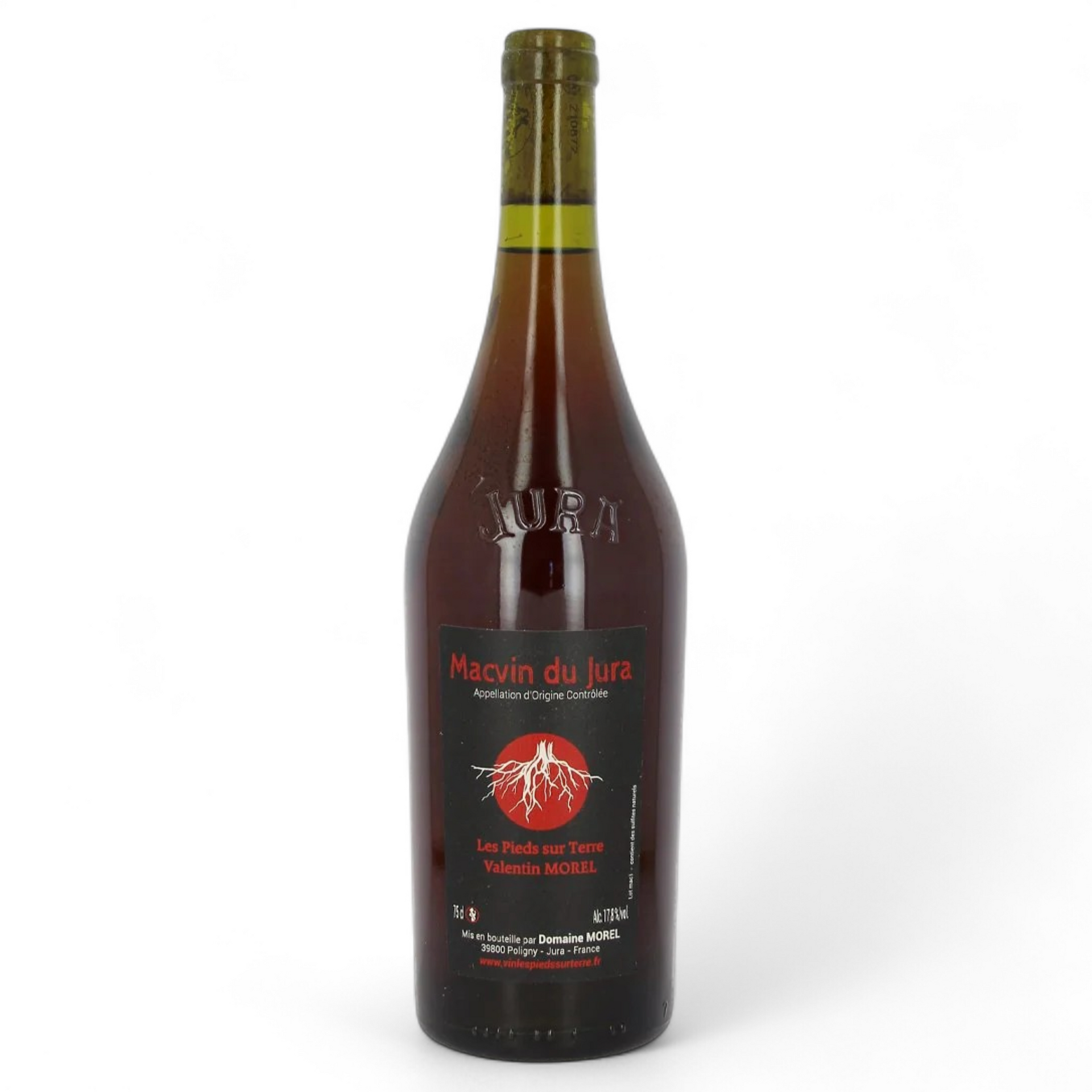 Ｃｈａｒ「Ｃｈａｒ　２　ｈａｖｅ　ａ　ｗｉｎｅ」 Red Macvin du Jura | Domaine Morel – Les Grappes