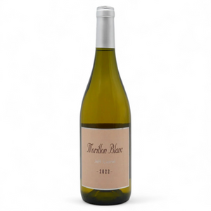 Morillon blanc 2024