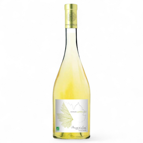 Bouteille de vin Muscat de Lunel du domaine Domaine Ampelhus