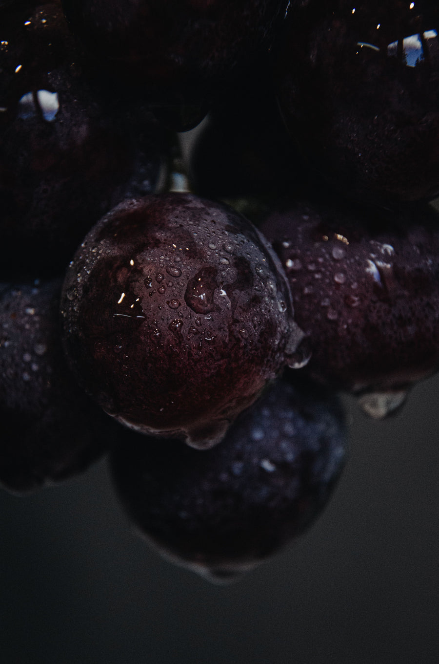 Vins rouges