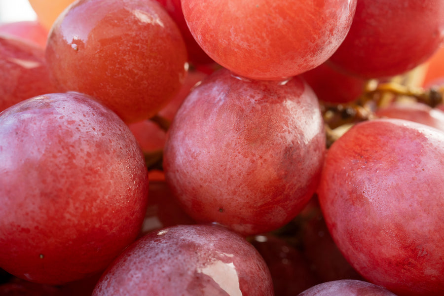 Vins rosés