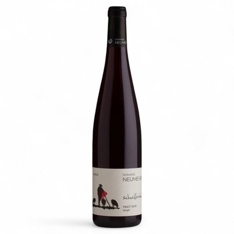 Bouteille de vin Pinot noir Berger 2023 du domaine Wine Nat