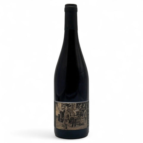 Bouteille de vin Ponpon le cheval 2024 du domaine Domaine Terrasses de Gabrielle
