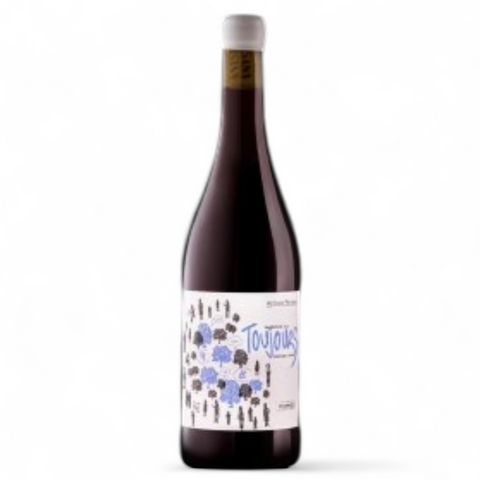 Bouteille de vin Toujours 2024 du domaine Caves du Roussillon