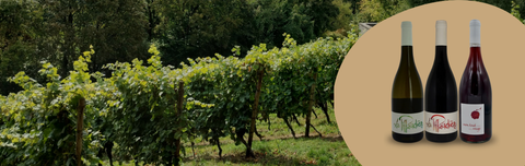 Le Domaine de la Piffaudière, signé Olivier Bellanger